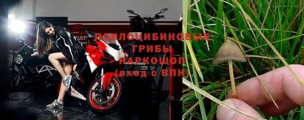 2c-b Козловка