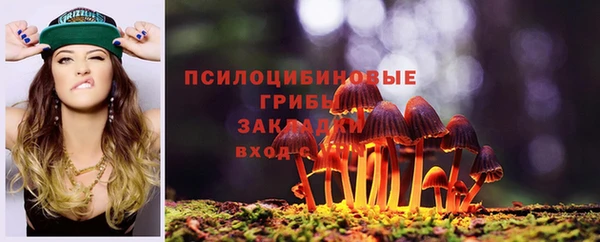 2c-b Козловка
