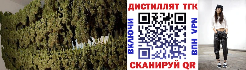ТГК Wax Евпатория